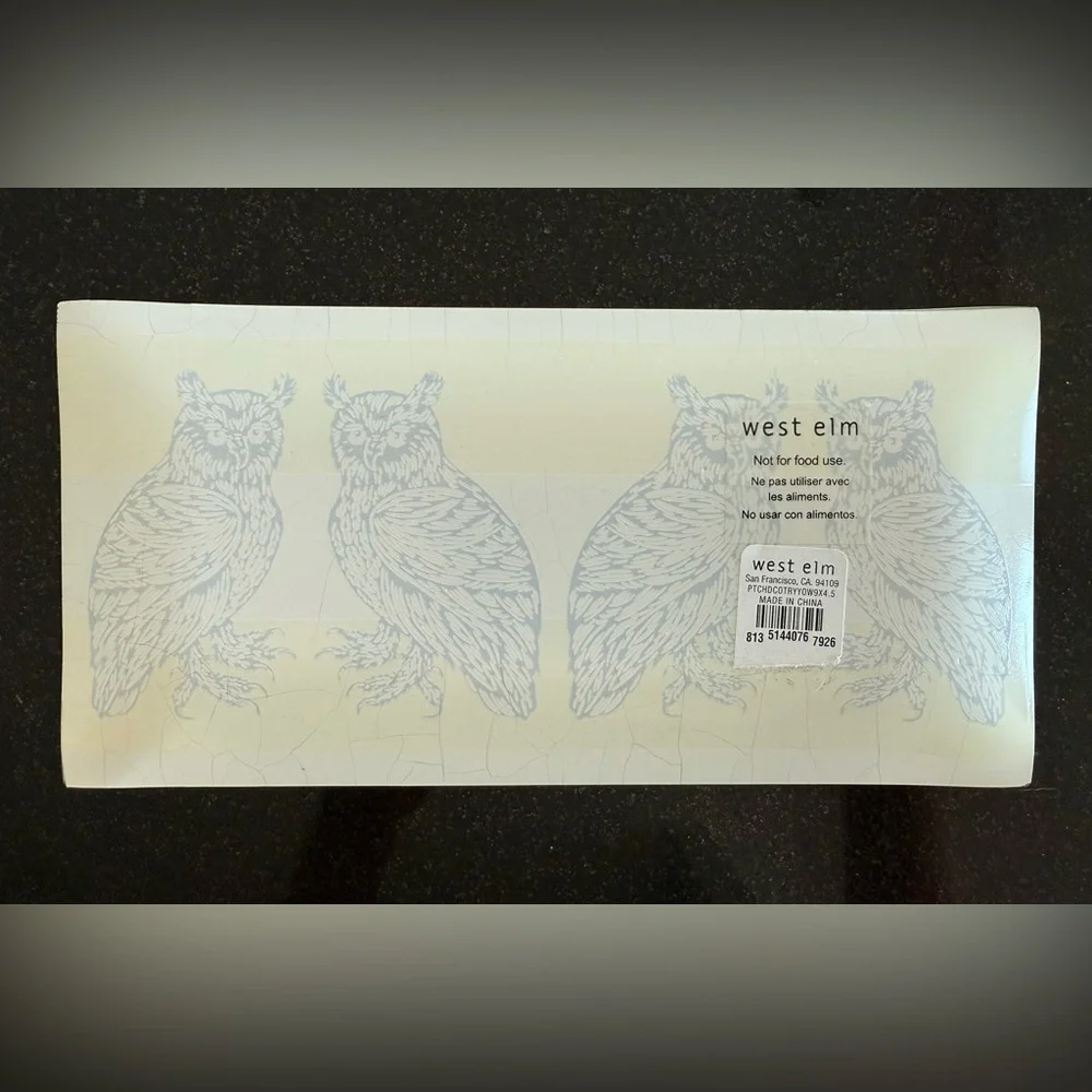 EUC West Elm glass owl tray